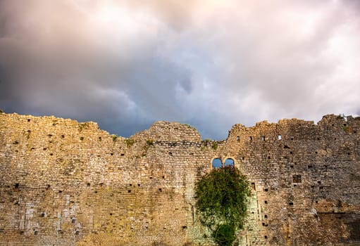 damaged castle wall background ruins sky backdrop storm clouds windows ivy plant flowers copyspace .