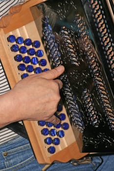 musician plays a musical instrument