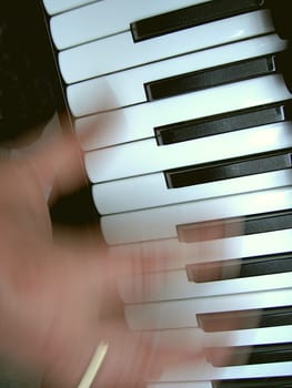 musician plays a musical instrument