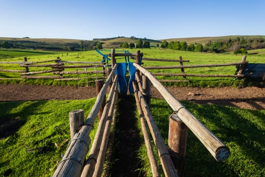 Farm rural fence wire poles cattle animal pen corral mountain landscape.
