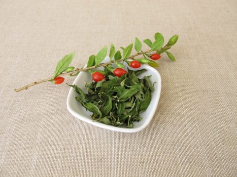 Dried goji leaves in a bowl and a fresh wolfberry twig