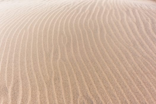 Beach sand wind textures lines natures background detailed landscape.