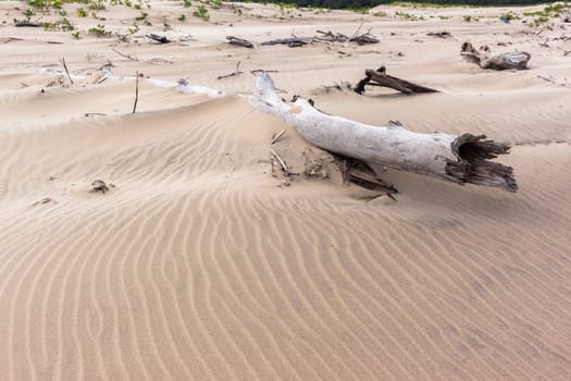 Beach sand wind textures lines natures background detailed landscape.