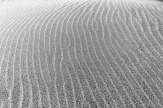 Beach sand wind textures lines natures background detailed landscape.