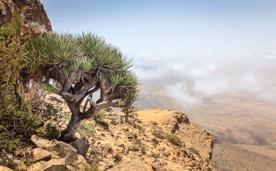Scenic view from Jebel Samhan - an elevated plateau near Salalah, Oman