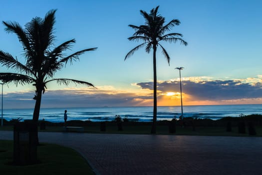 Dawn ocean sunrise along beach promenade with silhouetted palm trees scenic colors landscape..