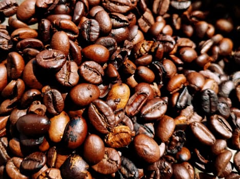 coffee roast beans full frame, background, wallpaper