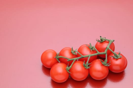 branch of cherry tomatoes on a red background
