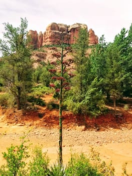Hiking in a beautiful Sedona Arizona USA