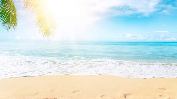 Sunny tropical beach with palm trees