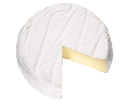 Camembert or brie soft-ripened cheese with white mold, top view