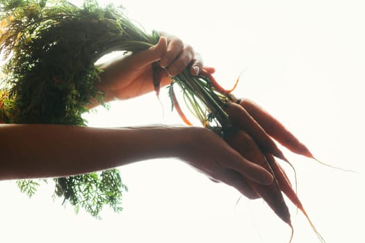 hands of a girl holding a carrot on a light background.