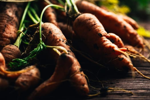 Fresh carrots from the garden close-up on a wooden background.