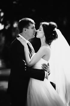 young couple groom and the bride on the park background
