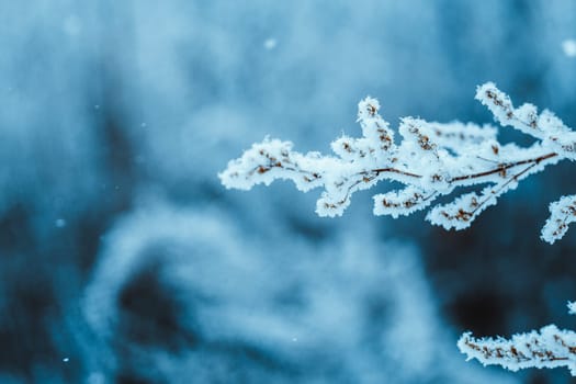 branches in the snow during the day.