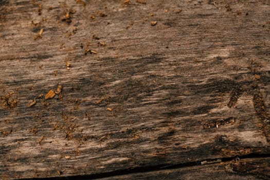 colored dark wood fiber texture close up