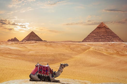 The Pyramid of Khafre and the Pyramid of Menkaure and a camel, Giza, Egypt.