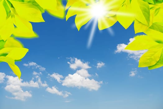Green leaf with white cloud and blue sky copy space for design