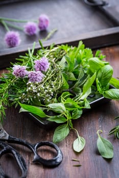 Bunch of different herbs for cooking on wooden background