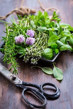 Bunch of different herbs for cooking on wooden background
