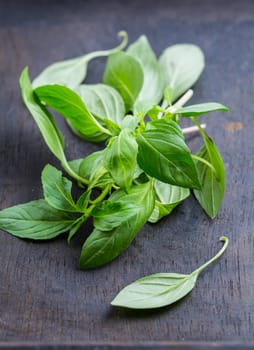 Image of Thai basil leaves