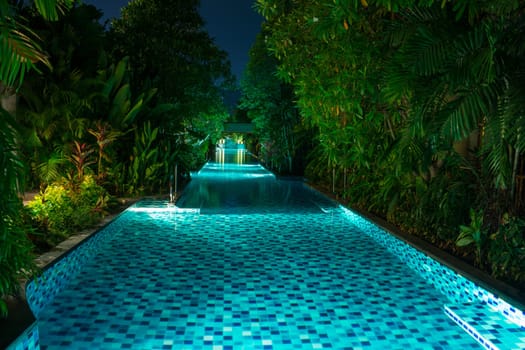 Empty, beautifully illuminated swimming pool, surrounded by green palm trees in the tropical jungle at night time