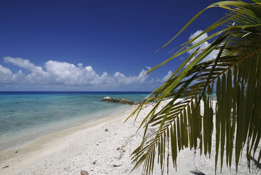 South seas
