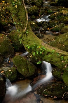 river waterfall in the portuguese national park