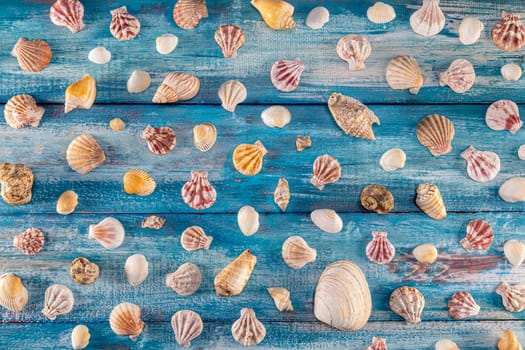 Summer time concept with sea shells on a blue wooden background and sand. Seashells frame on wooden background nautical border. Focus on seashells.