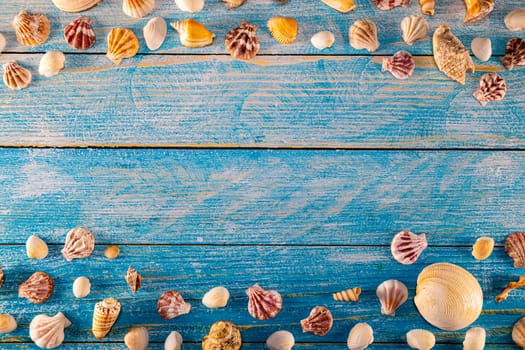 Summer time concept with sea shells on a blue wooden background. Seashells frame on wooden background nautical border. Focus on seashells.