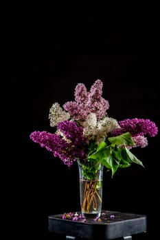 White and purple branches of lilac in glass vase on black background. Spring branch of blooming lilac on the table with black background. Fallen lilac flowers on the table.