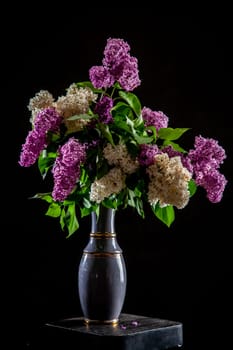White and purple branches of lilac in vase on black background. Spring branch of blooming lilac on the table with black background. Fallen lilac flowers on the table.