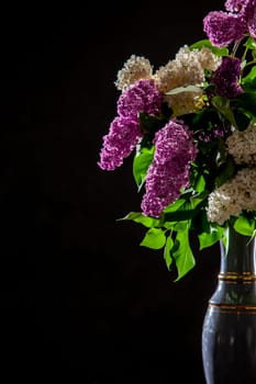 White and purple branches of lilac in vase on black background. Spring branch of blooming lilac on the black background.