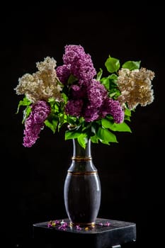 White and purple branches of lilac in vase on black background. Spring branch of blooming lilac on the table with black background. Fallen lilac flowers on the table.