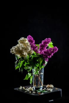 Branches of white and purple  lilac in glass vase on black background. Spring branch of blooming lilac on the table with black background. Fallen lilac flowers on the table.