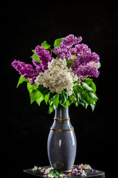 Branches of white and purple lilac in vase on black background. Spring branch of blooming lilac on the table with black background. Fallen lilac flowers on the table.