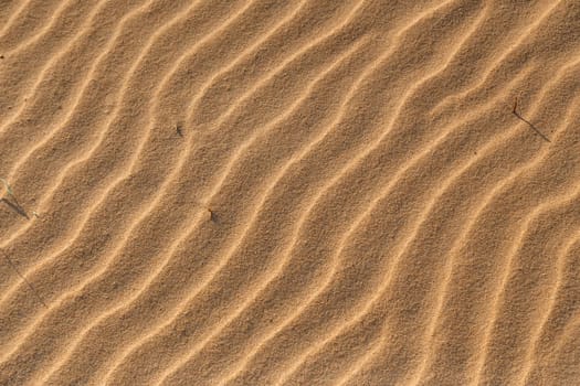Sandy sand pattern on the beach, painted by wind and weather.