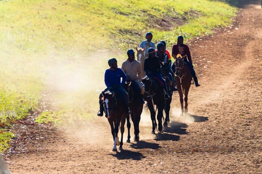 Race horses and riders unidentified silhouetted walking riding going to stables on dirt path after morning training session