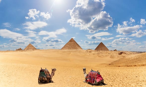 Egypt Pyramids panorama with two camels under the clouds.