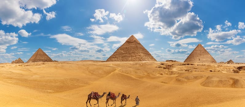Panorama of Giza with the Pyramids, camels and a bedouin.