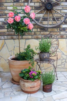 beautiful place in the garden in the mediterranean style, pots with flowers
