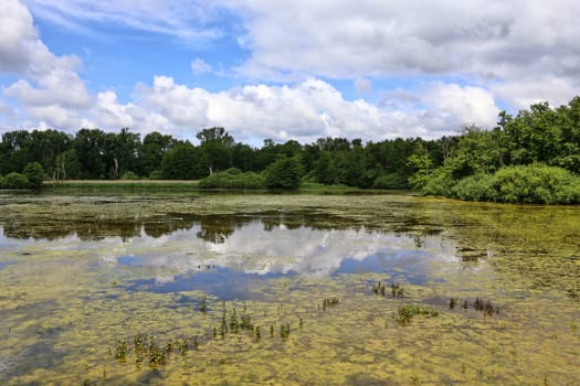 View of the Weingartener Moor nature reserve near Karlsruhe