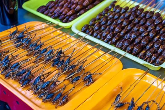 Roasted, fried and raw insects, silkworms, scorpions on stick as snack street food in China