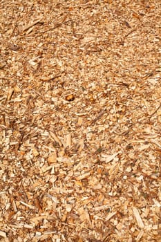 Wood shavings, wood chips, bark mulch, flooring, background image