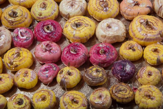 pile of natural onions with some small defects