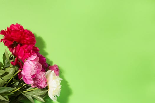 colorful peony bouquet on a green background