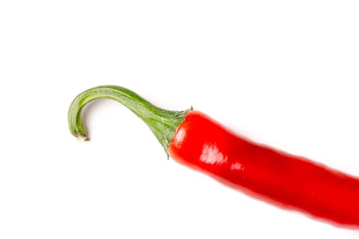 hot red chili pepper isolated on white background