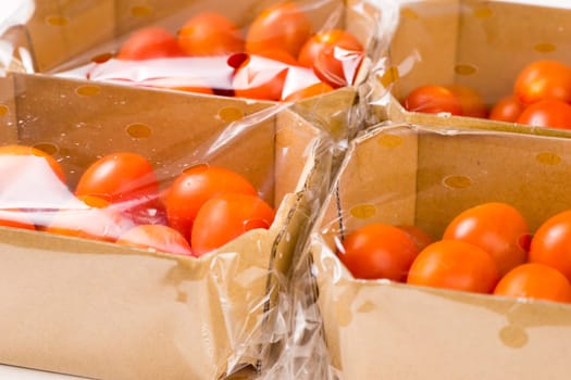 ripe cherry tomatoes packages in box and plastic close up and isolated on white background
