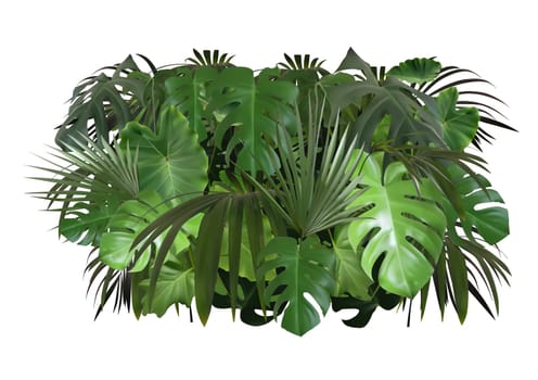 Tropical Leaves Foliage Arrangement Isolated on White Background - Photorealistic and Detailed Illustration