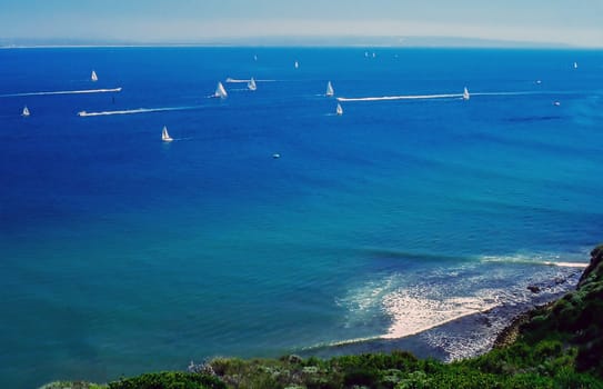 Salboats in San Diego Bay, California